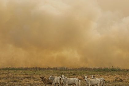Janeiro tem número de focos de calor duas vezes maior que a média