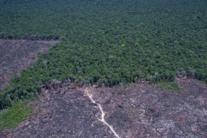 Amazônia Legal: desmatamento prevalece em torno de áreas protegidas