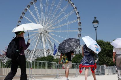 Europa: temperatura alta pode elevar transmissão do vírus Chikungunya