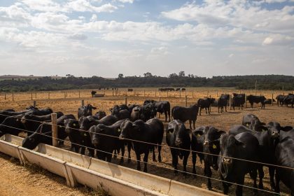 Prévia do PIB aponta crescimento de 2,5% da economia brasileira em 2025