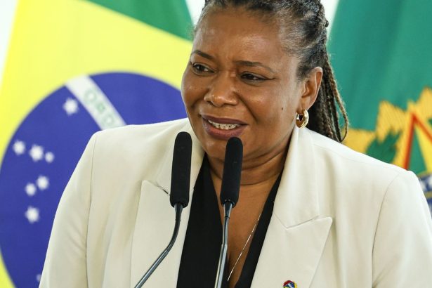 Ministra da Cultura defende investimento em arte e educação