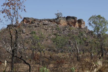 Pesquisa com IA identifica terras agrícolas abandonadas no Cerrado