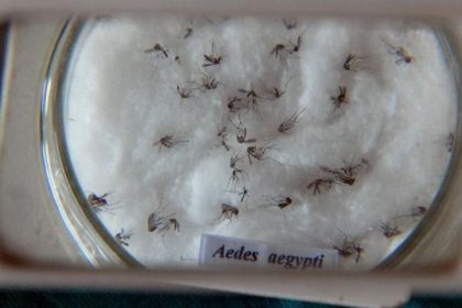 Brasil registra queda de quase 70% nos casos de dengue nos 2 primeiros meses de 2025
