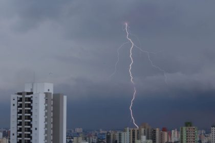 SP registra desabamentos e quedas de árvore por chuva forte