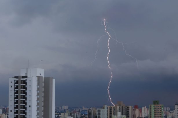 SP registra desabamentos e quedas de árvore por chuva forte