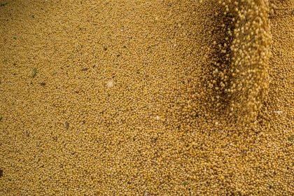 Agro cresce 11,7%, impulsiona PIB e ganha participação na economia