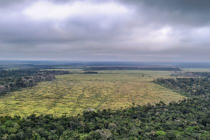 Emissões de gases caem em 2024, mas meta climática segue em risco