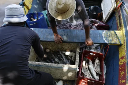 Pescadores beneficiados pelo Seguro-Defeso recebem 6º lote nesta terça