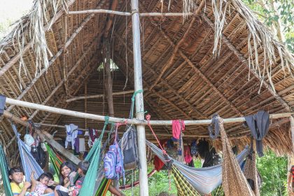 Povo Parakanã, do Pará, reocupa território após retirada de invasores 