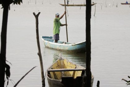 Conferências estaduais de aquicultura e pesca serão em junho e julho| Agência Brasil