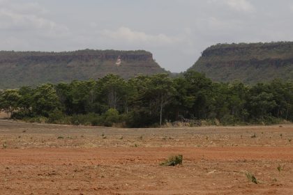 Fragmentos de vegetação nativa cresceram no país 260% em 38 anos