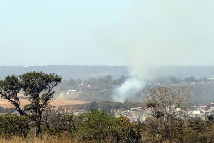 MMA lança edital para arborizar periferia urbana de pequenas cidades